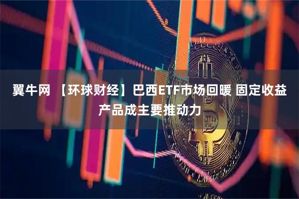 翼牛网 【环球财经】巴西ETF市场回暖 固定收益产品成主要推动力