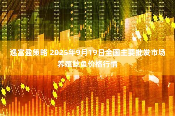 逸富盈策略 2025年9月19日全国主要批发市场养殖鲶鱼价格行情