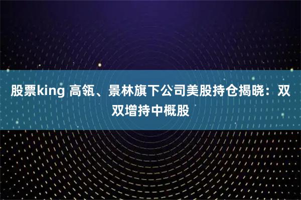 股票king 高瓴、景林旗下公司美股持仓揭晓：双双增持中概股
