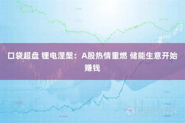 口袋超盘 锂电涅槃：A股热情重燃 储能生意开始赚钱