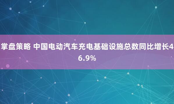 掌盘策略 中国电动汽车充电基础设施总数同比增长46.9%